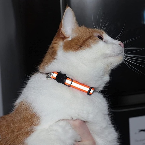 Pick 2 Reflective Breakaway Cat Collars with Bell - Picture 4 of 5